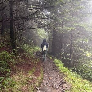 Meet your Posher, Baby dick